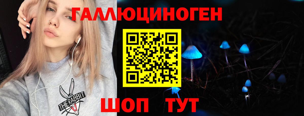 Псилоцибиновые грибы Magic Shrooms  Вход с VPN  Минусинск  Псилоцибиновые грибы Psilocybe 